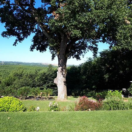 La Chenaie Bed & Breakfast Sainte-Marthe  Eksteriør bilde